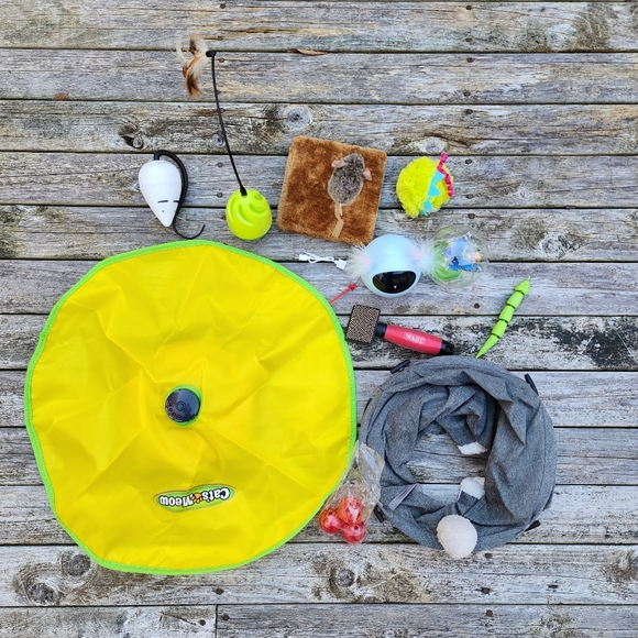 Large Bundle/Lot of Cat Toys - Picture 1 of 14